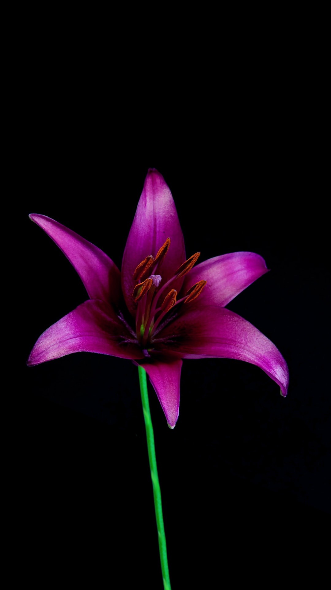 Bubbles and Beyond's Photo