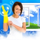 Brazilian Cleaning Services