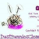 Dust Bunnies Cleaning