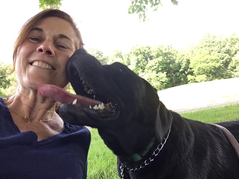 Down Dog Pets Behavior Solutions & Training's Photo