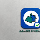 Cleanerz On Demand