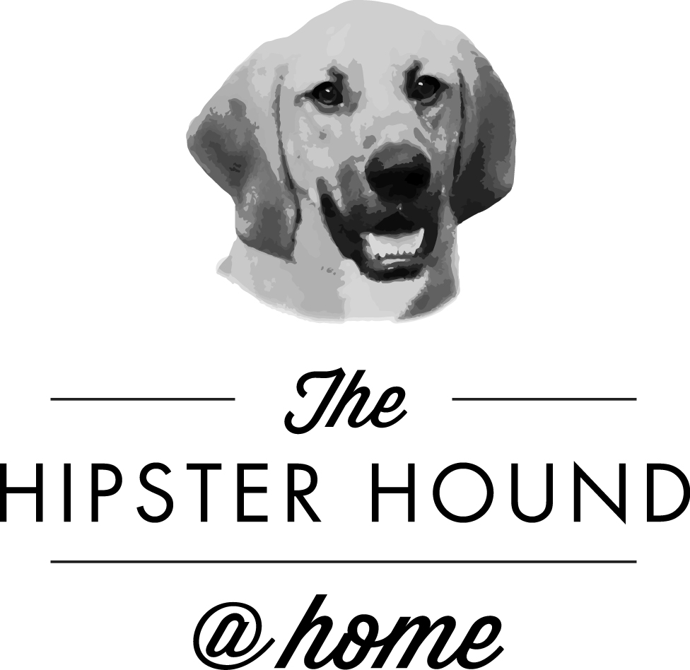 The Hipster Hound, LLC's Photo