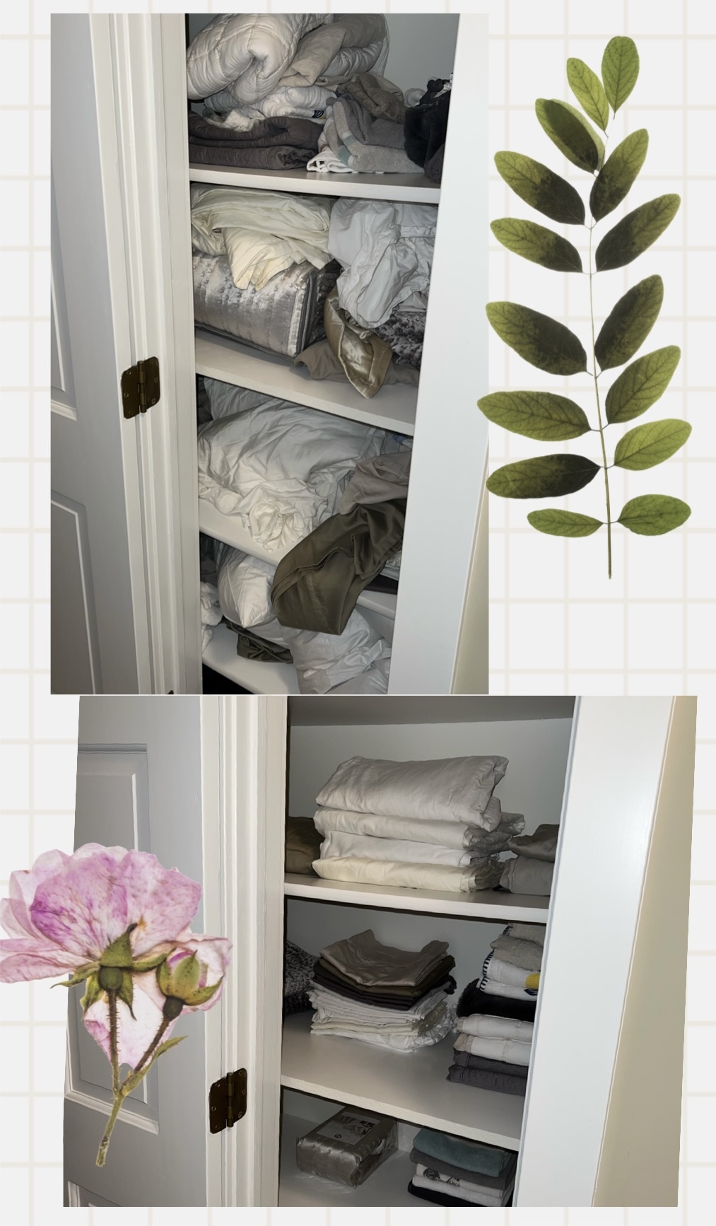 D & D Cleaning Solutions LLC's Photo