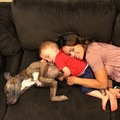 Little Humans