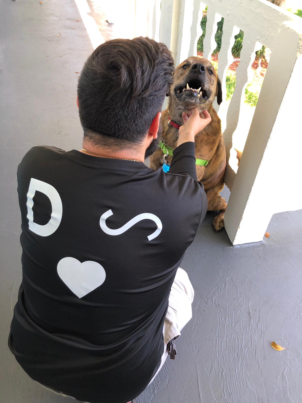 Urban Dogsit's Photo