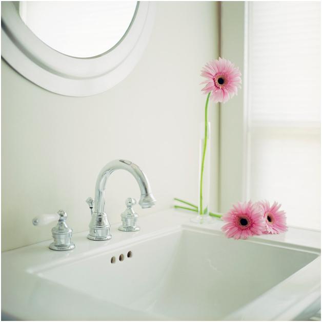 Brilliantly Clean's Photo