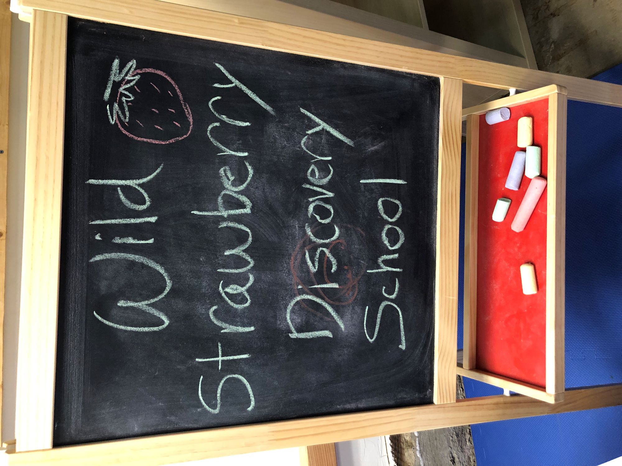 Wild Strawberry Discovery School's Photo