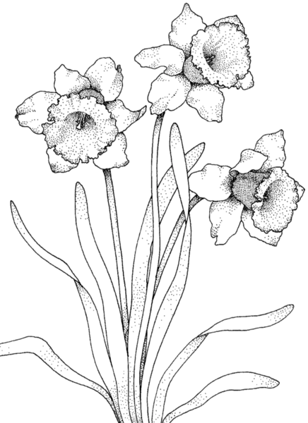 Photo gallery image - 0