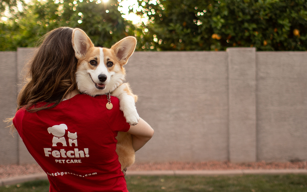 Fetch! Pet Care of Greater Boston's Photo