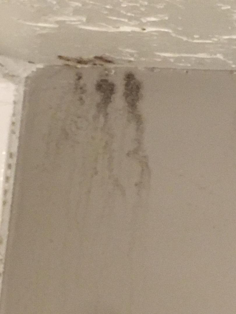 Mia's Cleaning Services's Photo