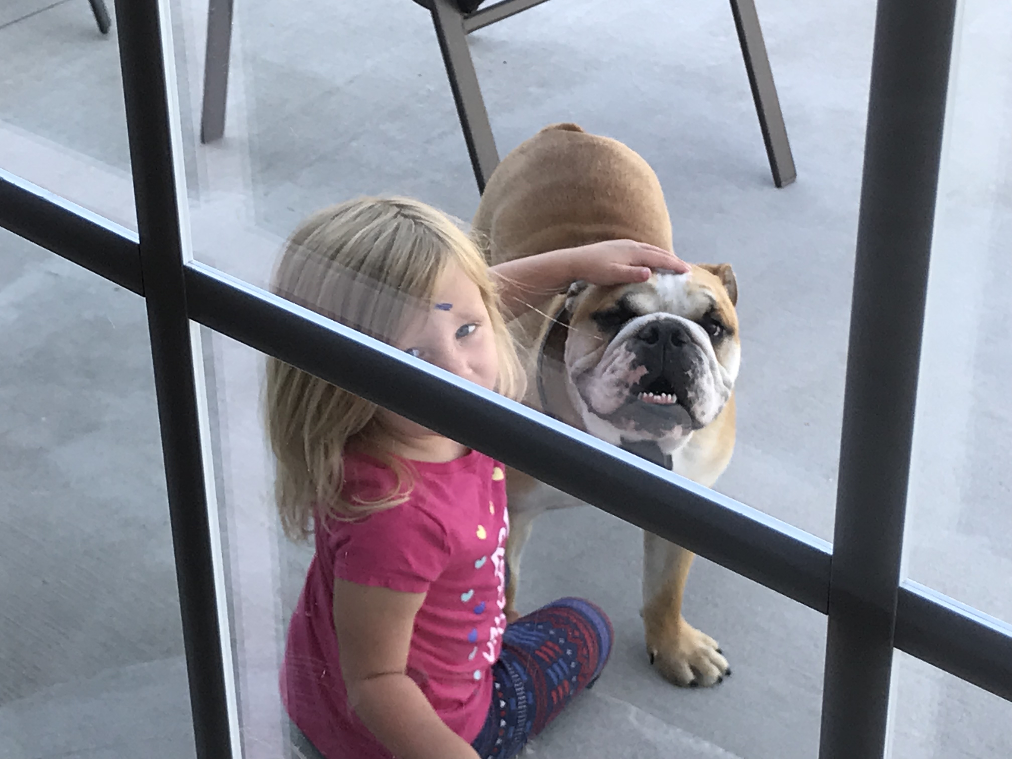 Sue's Pet Care's Photo