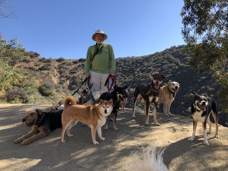 Hikes4hounds North