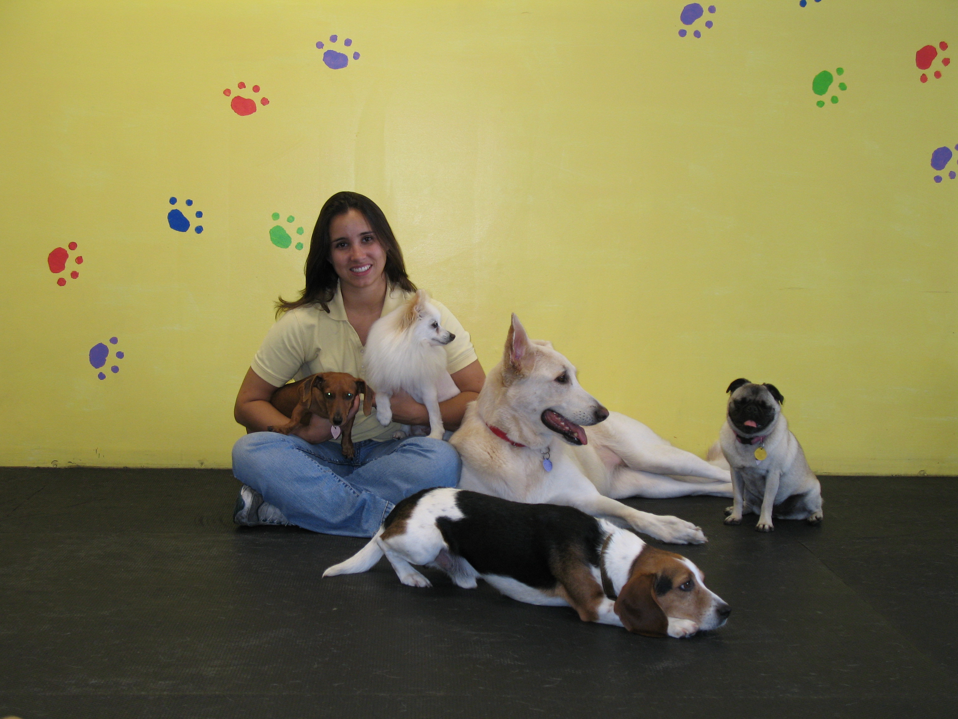 Whiskers, Wags, and Whinnies's Photo