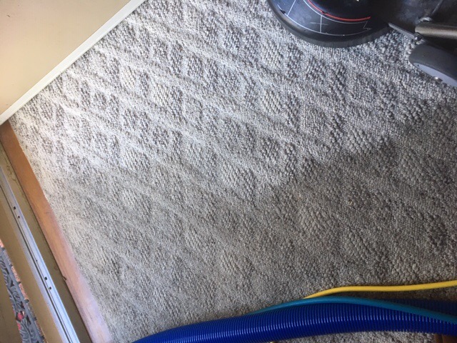 Mach 5 Cleaning LLC's Photo