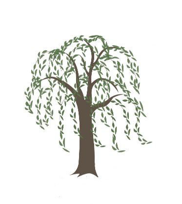 The Knowledge Branch Logo