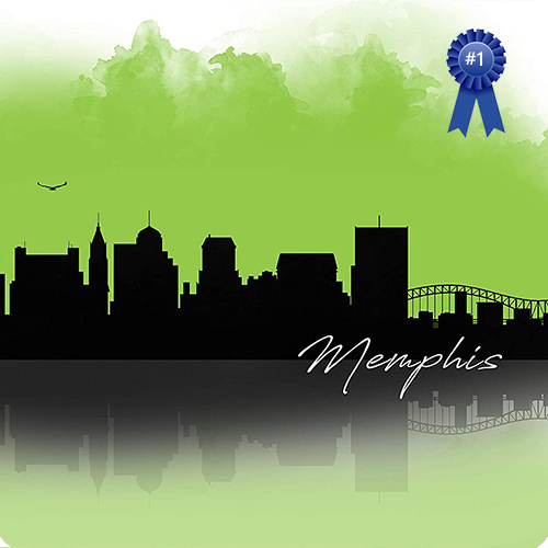 Memphis Maids's Photo
