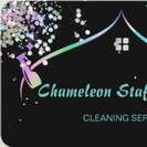 Chameleon Staffing LLC