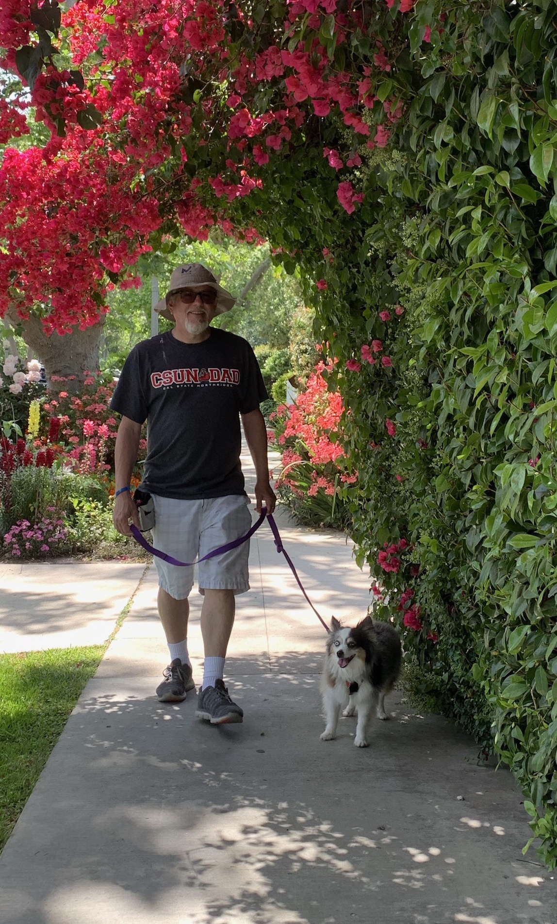 Hikes4hounds North's Photo