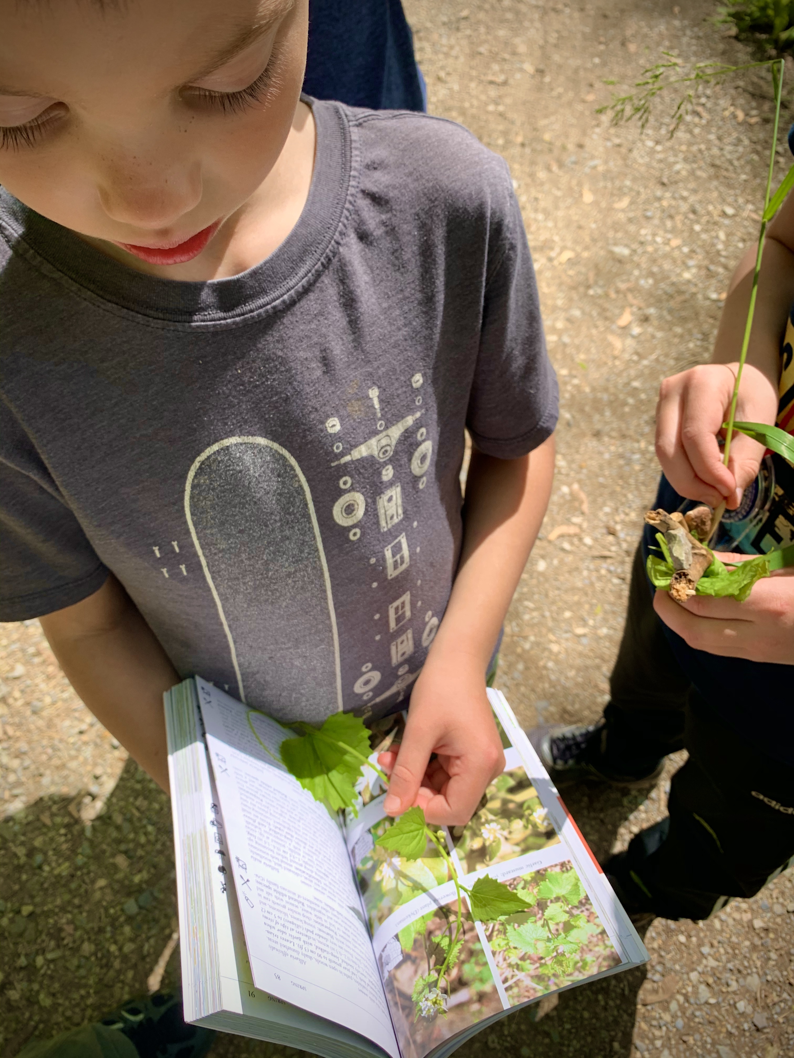 Kinder-Hikes Nature School's Photo