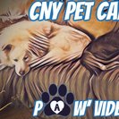 CNY Pet Care Pawvider