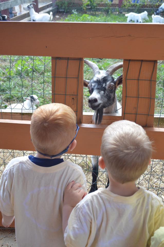 Over the Rainbow Learning Center's Photo