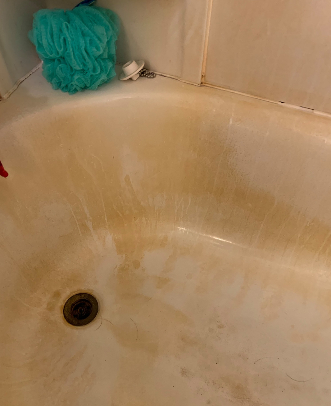 Bizzy Bees Cleaning Service's Photo