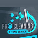 Pro Cleaning & Home Service.LLC