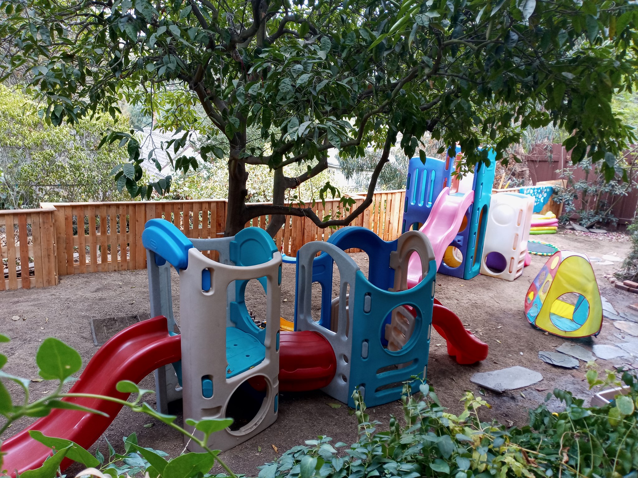 Forest Friends's Photo