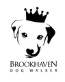 Brookhaven Dog Walker