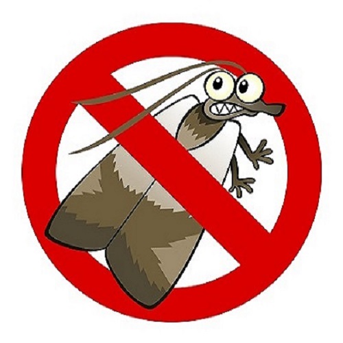OCP Bed Bug Exterminator PA's Photo