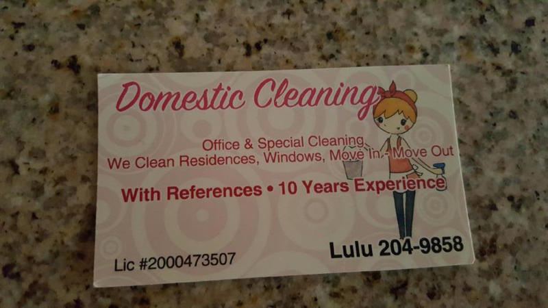 Domestics Cleaners's Photo