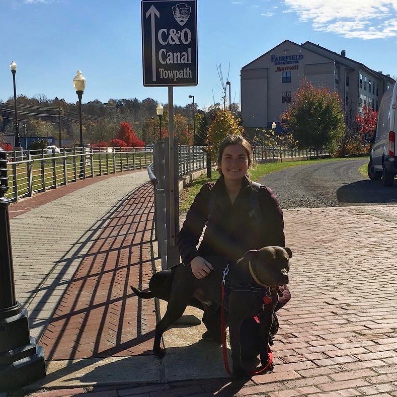 Wagging Tail Services's Photo