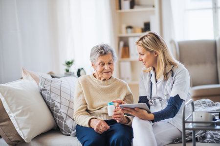 Home Care Services of Illinois