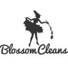 Blossom Cleans