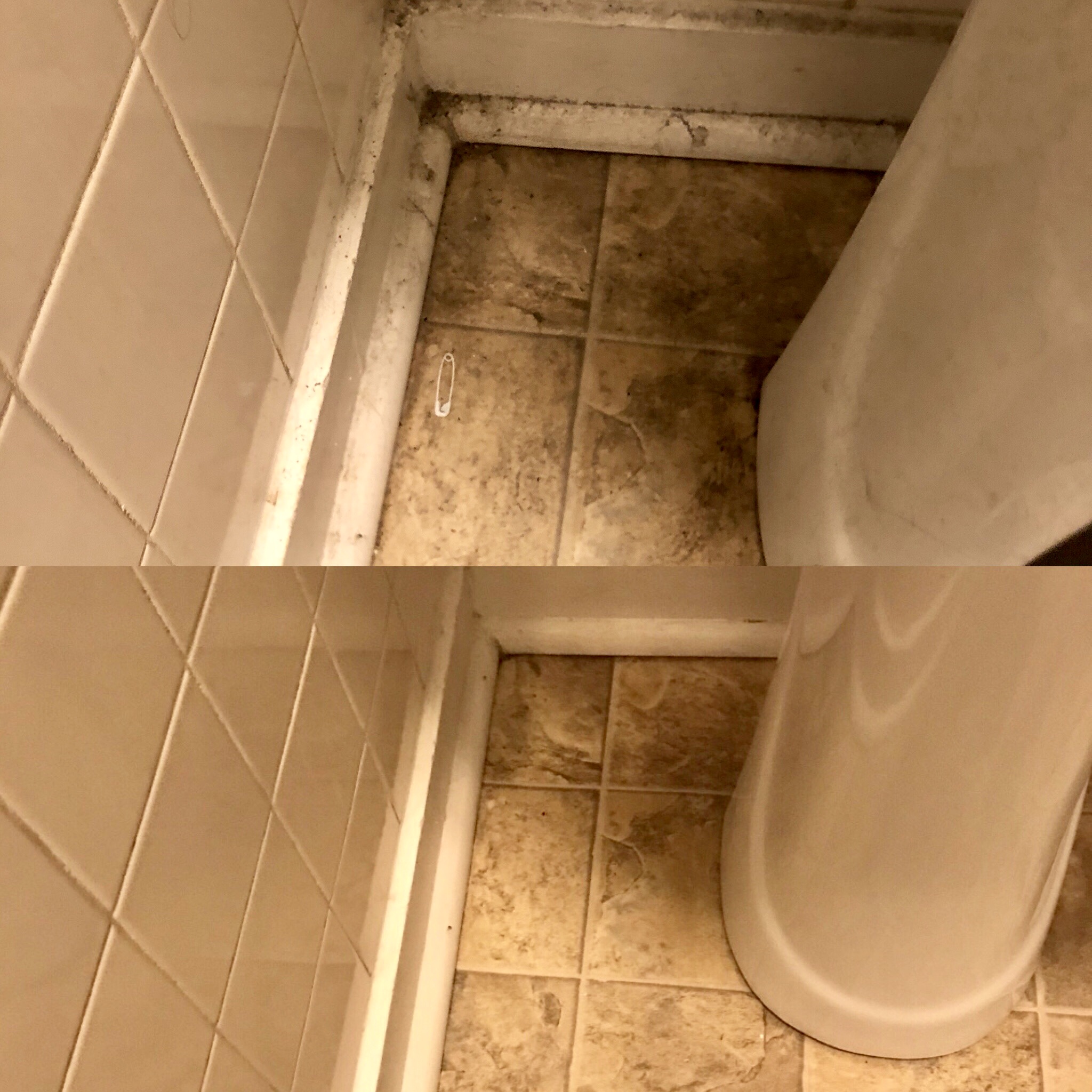 Squeaky Clean Services's Photo