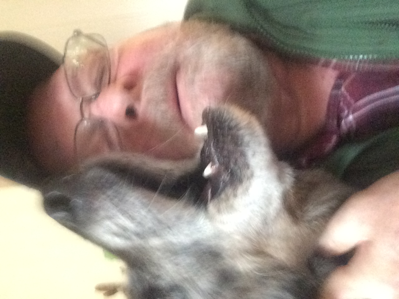 Gary's Pet Sitting's Photo