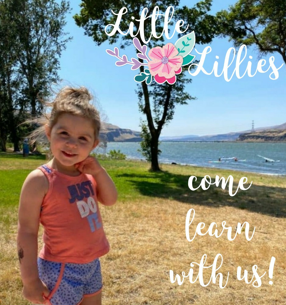 Little Lillies Daycare's Photo