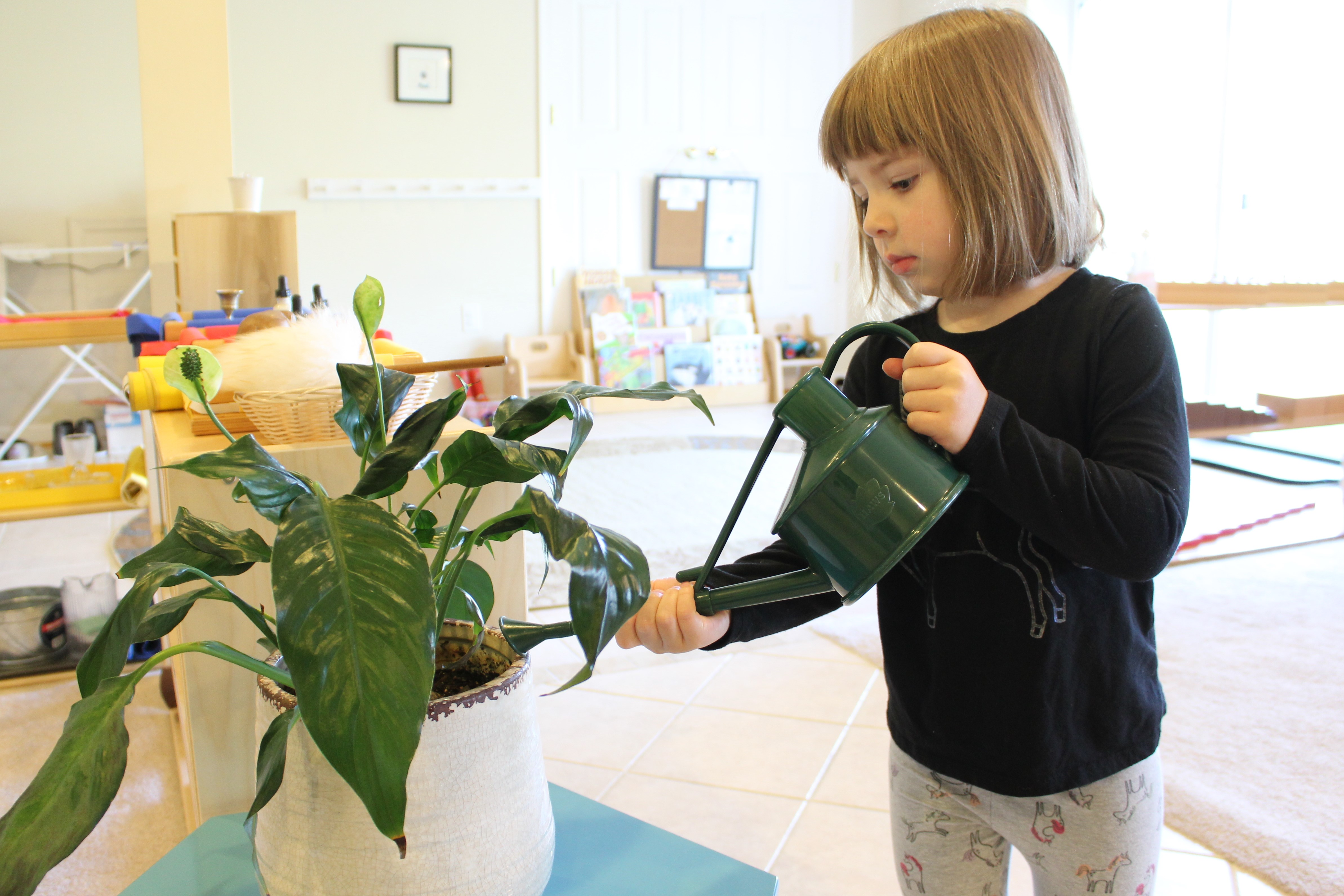 Hamilton Montessori School's Photo