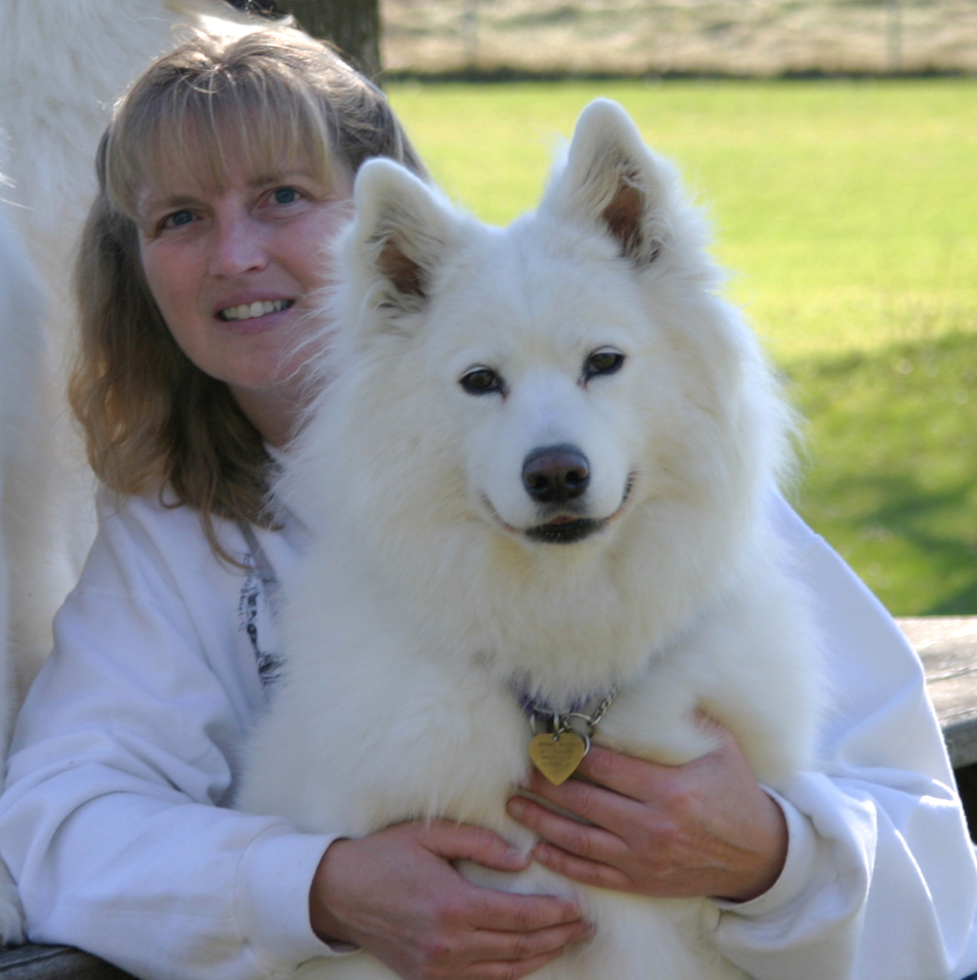 Wags & Barks Doggy Day Care's Photo