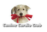The Canine Cardio Club's Photo