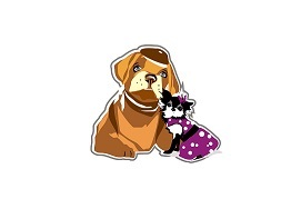 Swanky Pup Dog Services, LLC's Photo