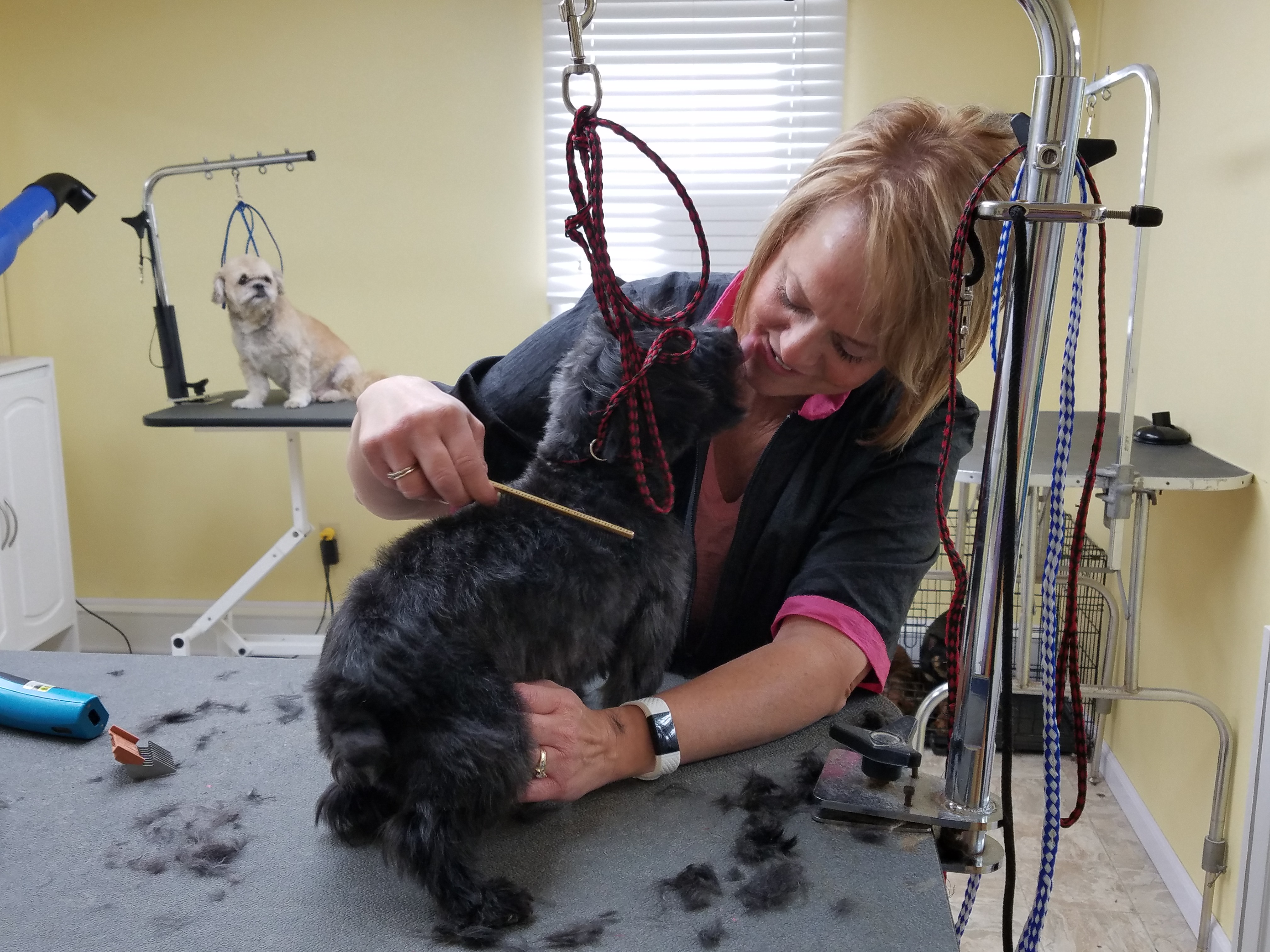 The Dog House Salon's Photo