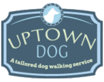 Uptown Dog