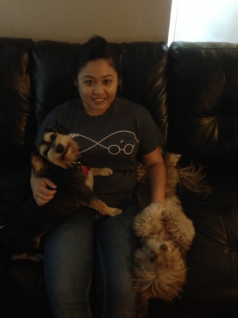 Anny's Dog Walking Biz's Photo