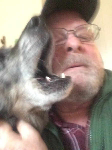 Gary's Pet Sitting's Photo