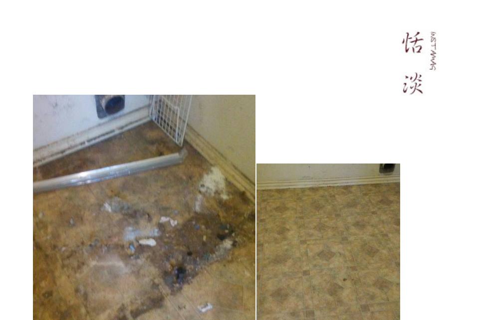 MJ's Sterile Cleaning Company's Photo