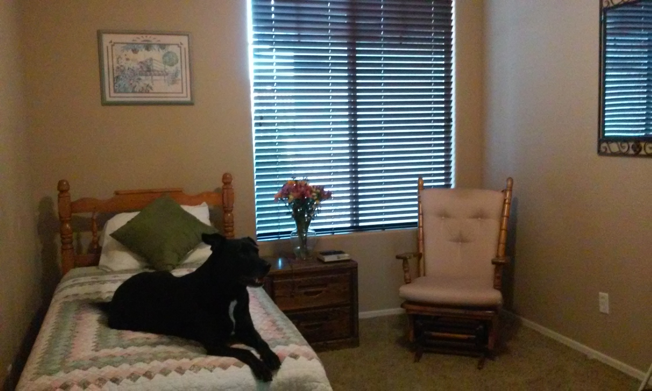 Photo gallery image - 2