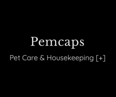 PEMCAPS LLC's Photo
