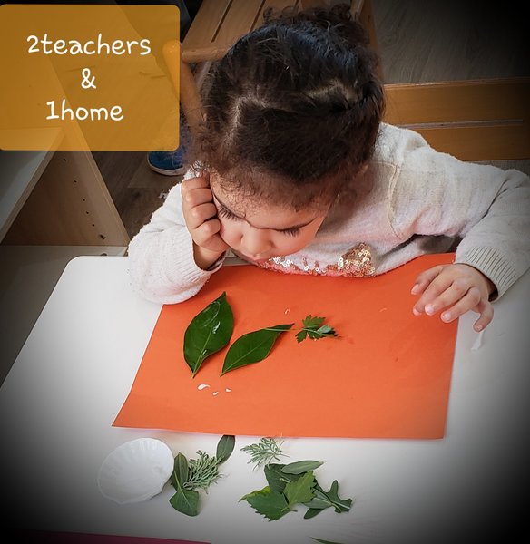 2 Teachers & 1 Home Logo