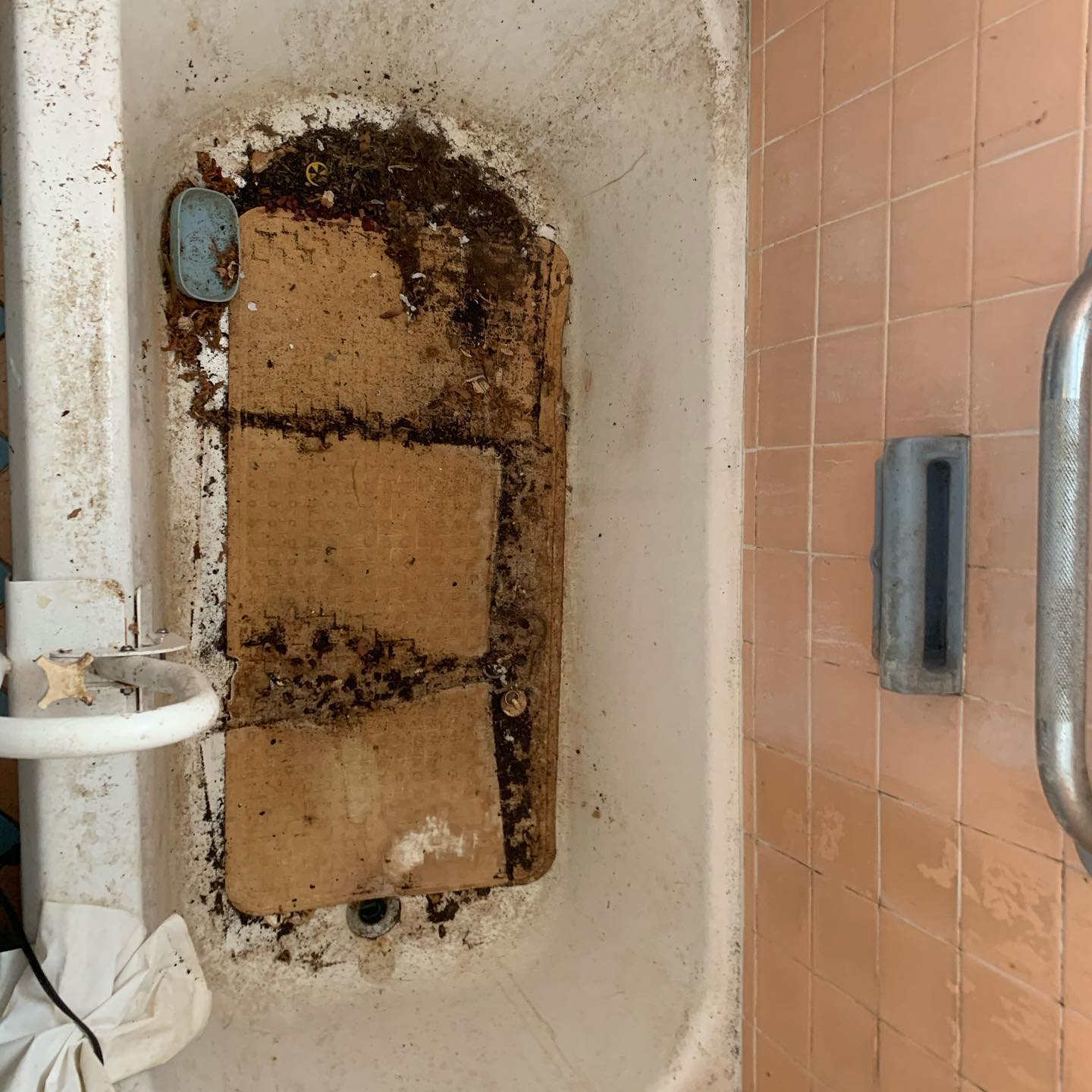 Broward Cleaning Solutions's Photo